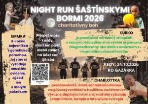 NIGHT RUN